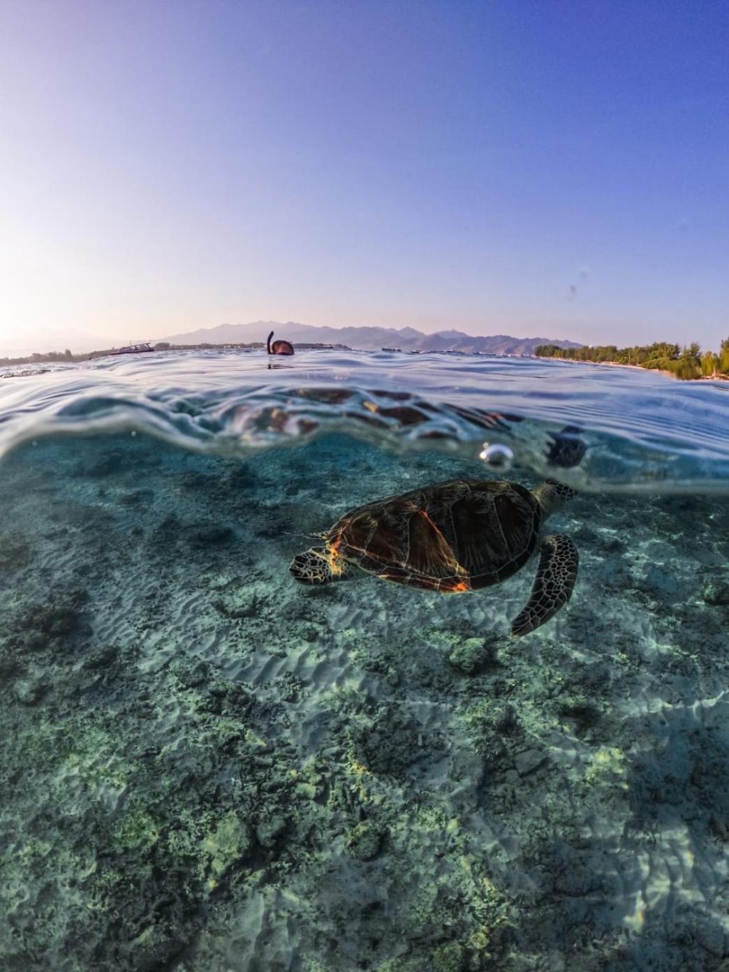 Mandala Beach Healing Rooms Gili Air Exterior foto